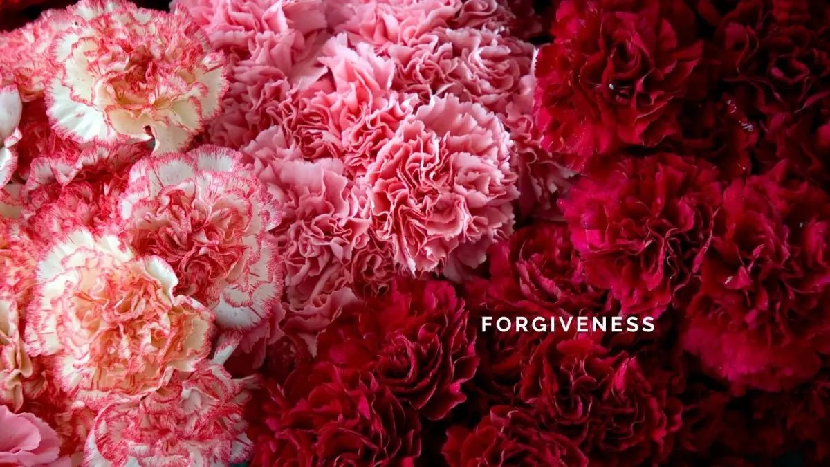 7 January 2025: Forgiveness