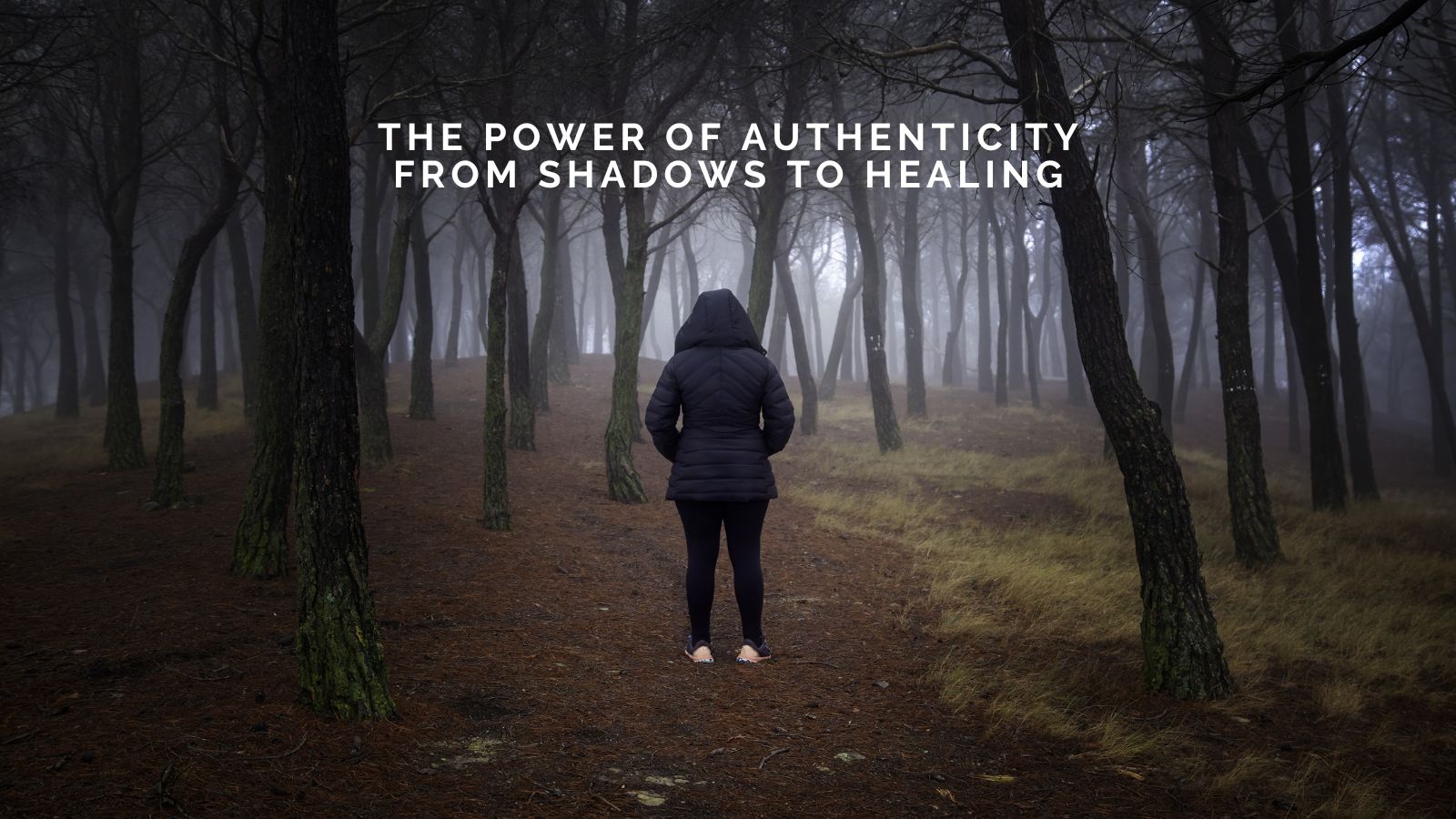 Jamie Tedrick-Monroe on The Power of Authenticity: From Shadows to Healing