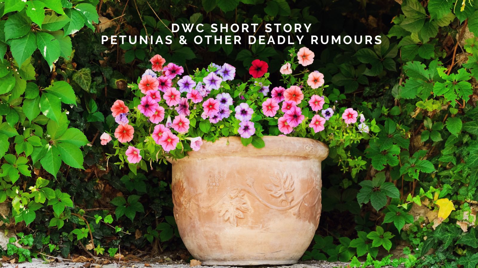 DWC Short Story: Petunias And Other Deadly Rumours