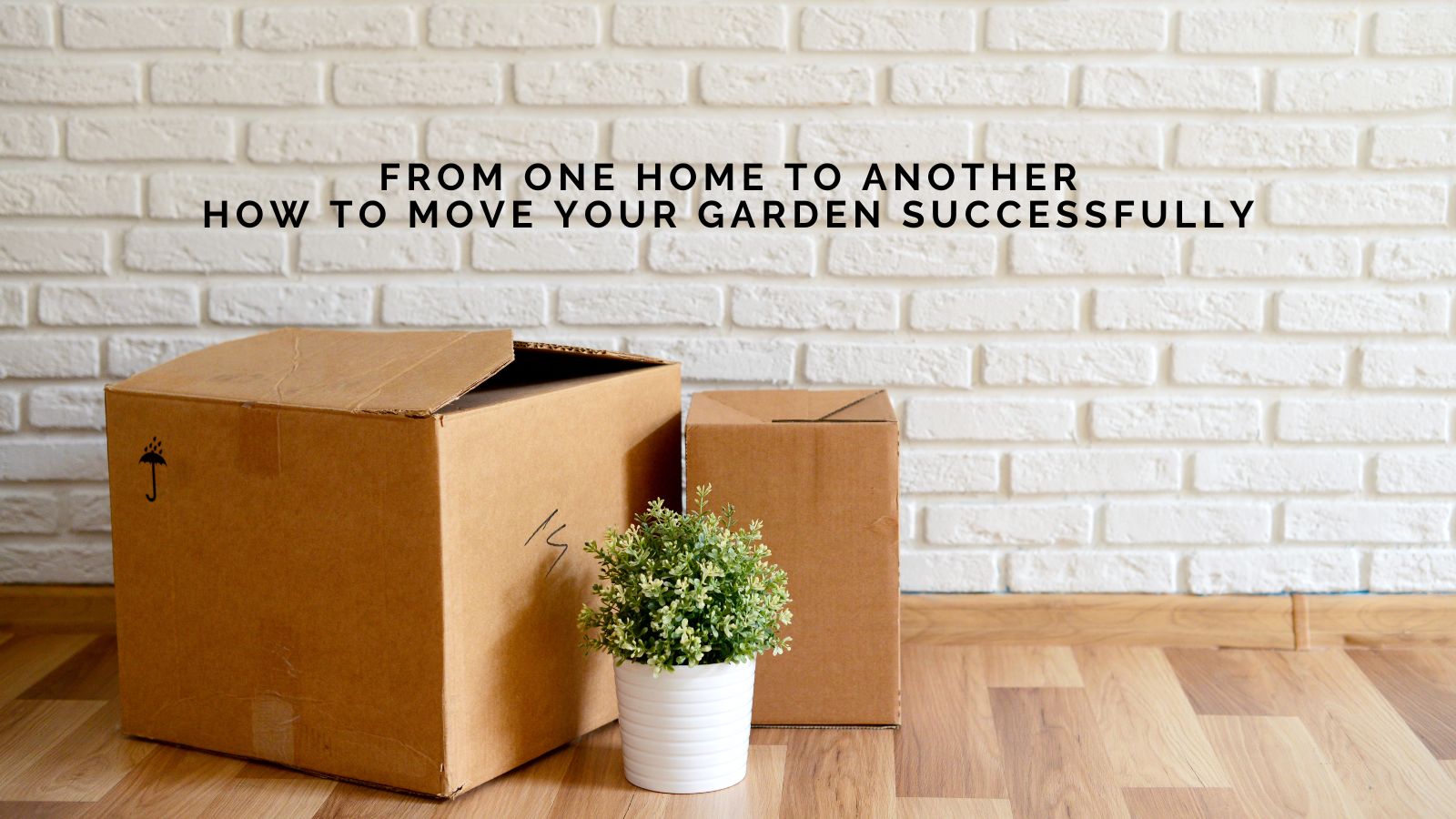 From One Home to Another: How to Move Your Garden Successfully