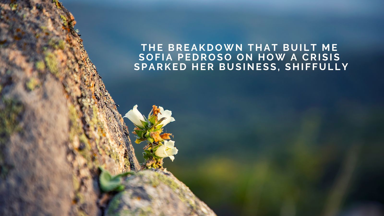 The Breakdown That Built Me: Sofia Pedroso on How a Crisis Sparked Her Business, Shiffully