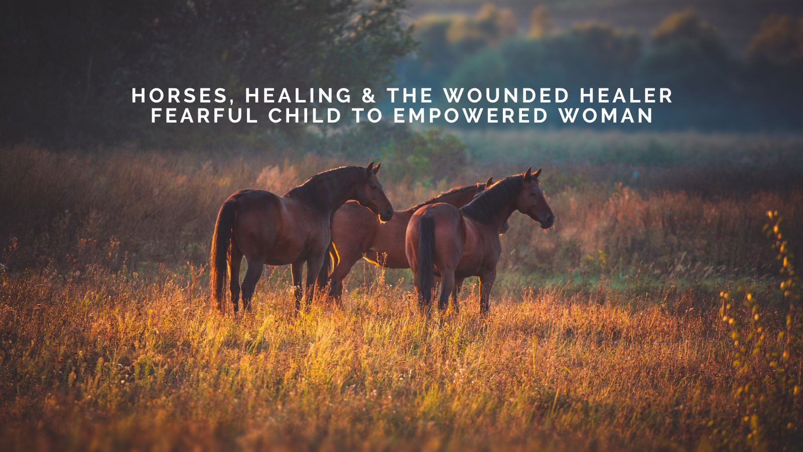 Emma Trossarelli On Horses, Healing, and the Wounded Healer: Fearful Child to Empowered Woman