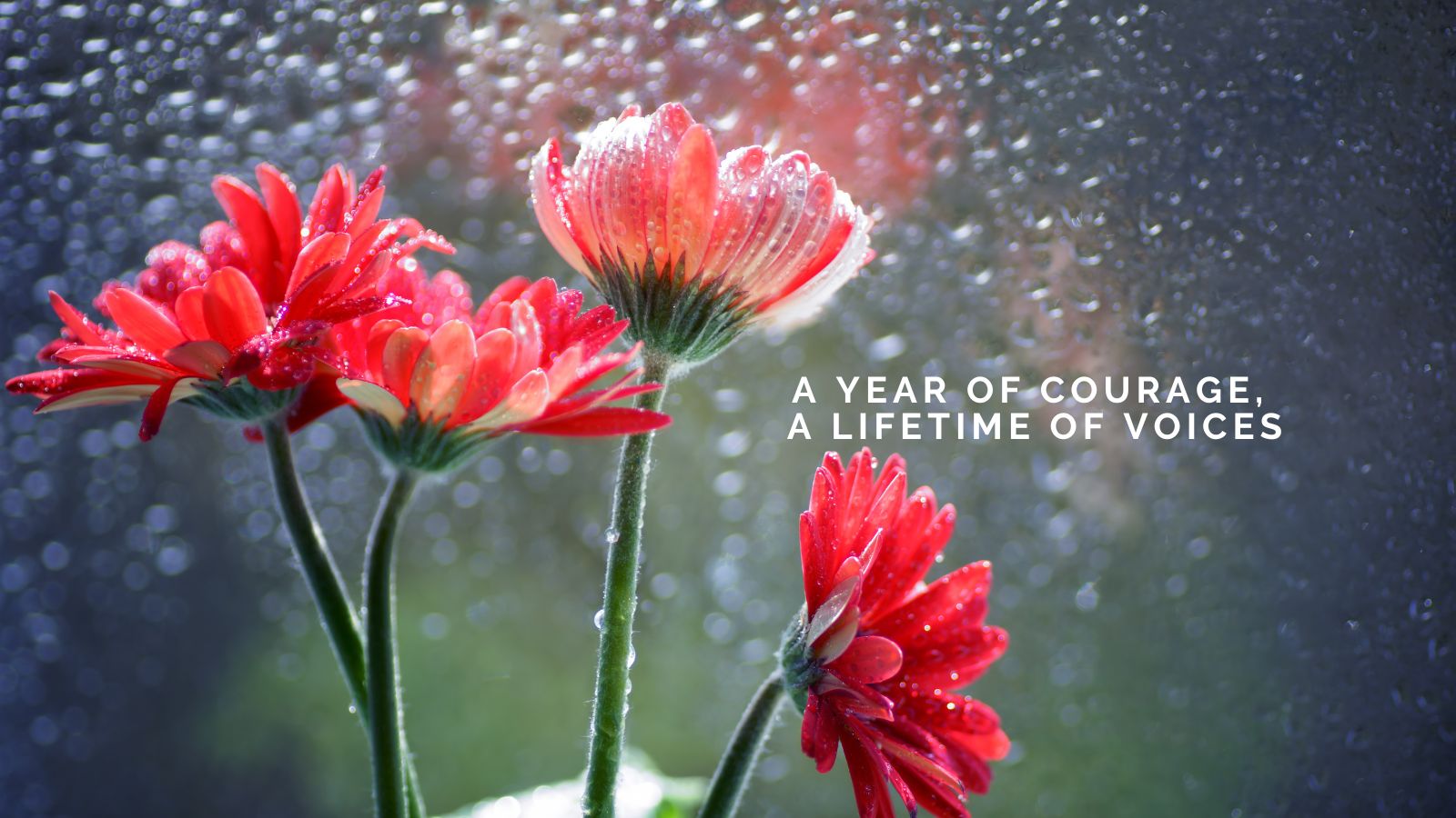 Editorial Update: A Year of Courage, A Lifetime of Voices