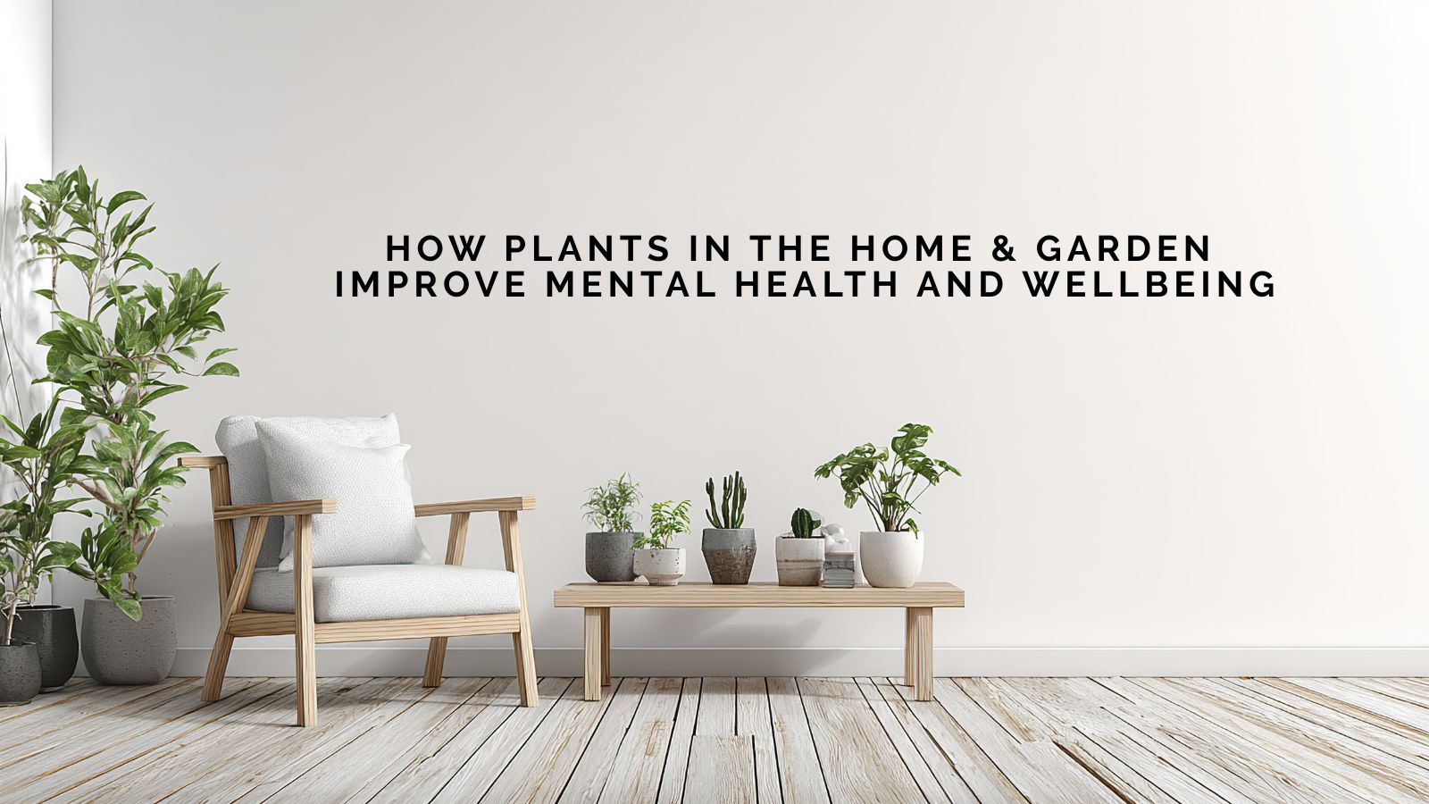 Kathryn Toomey On How Plants in the Home and Garden Improve Mental Health and Wellbeing