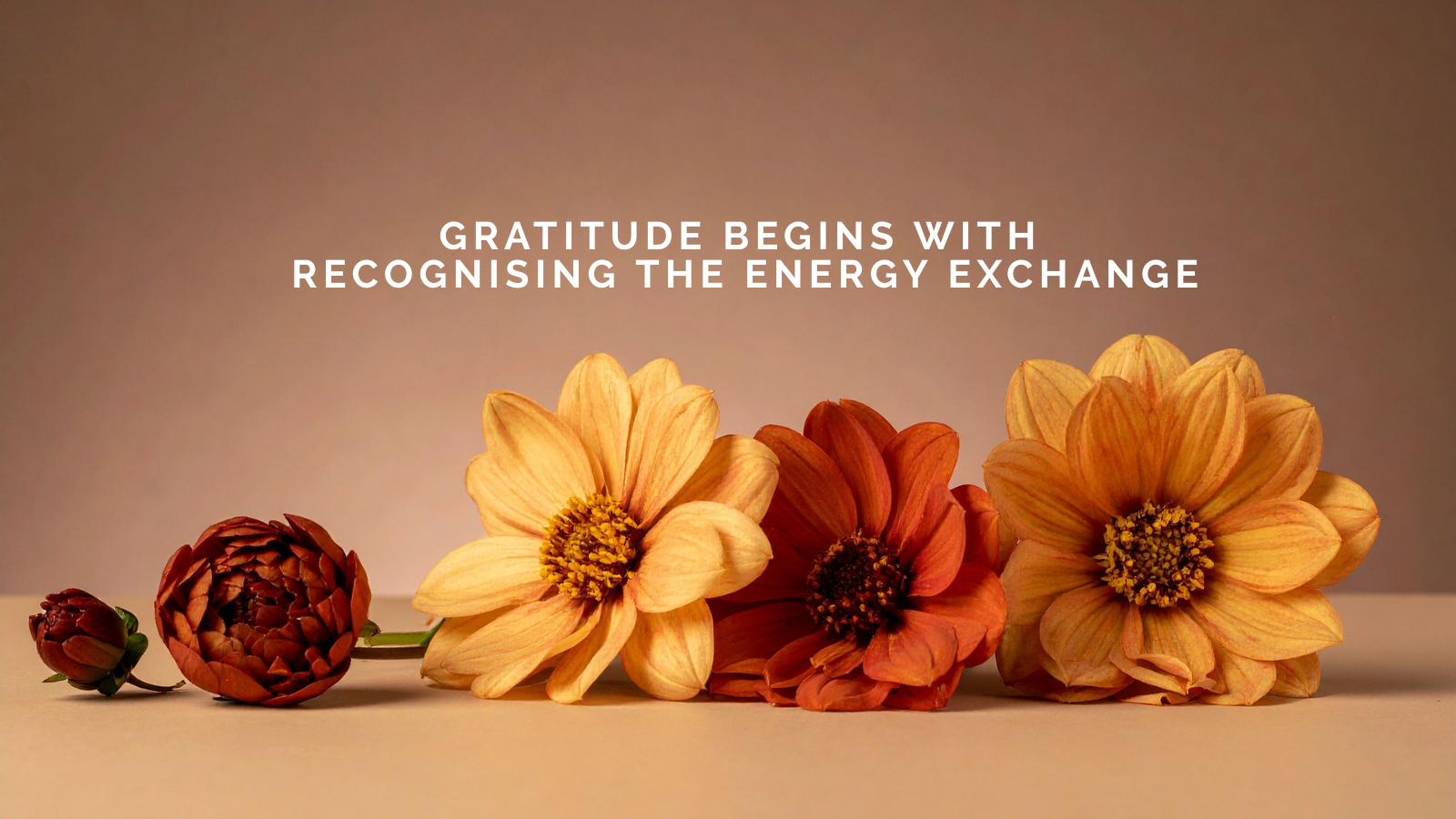 Editorial Update: Gratitude Begins with Recognising the Energy Exchange