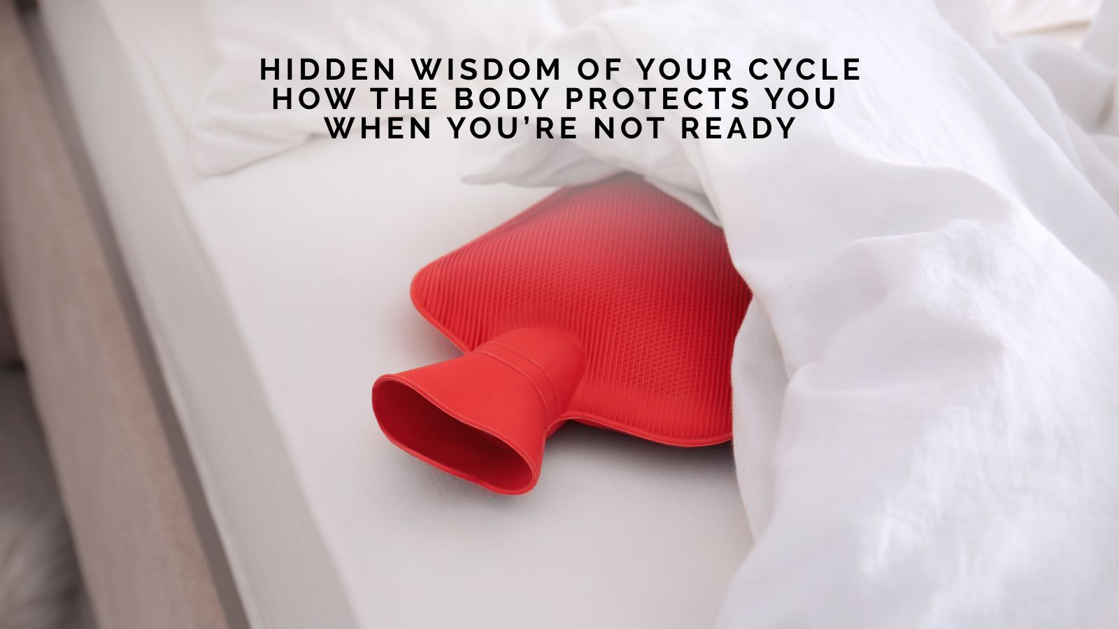 Laetitia Felix On Hidden Wisdom of Your Cycle: How the Body Protects You When You’re Not Ready