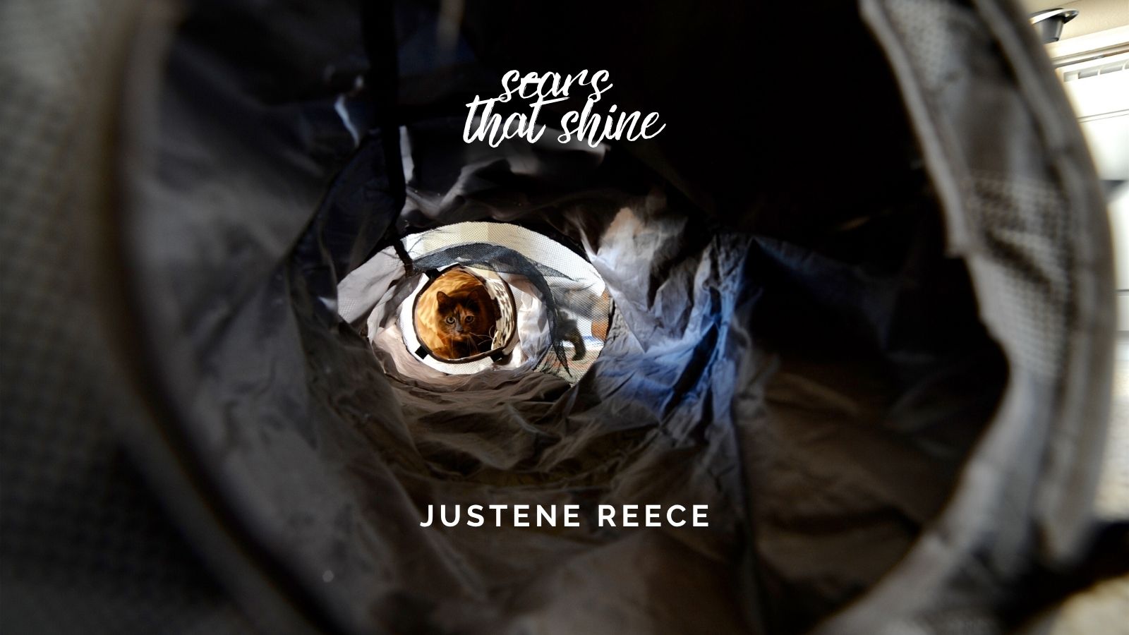 Scars That Shine: Justice for Justene Reece, UK’s First Manslaughter Case Linked to Coercive Control