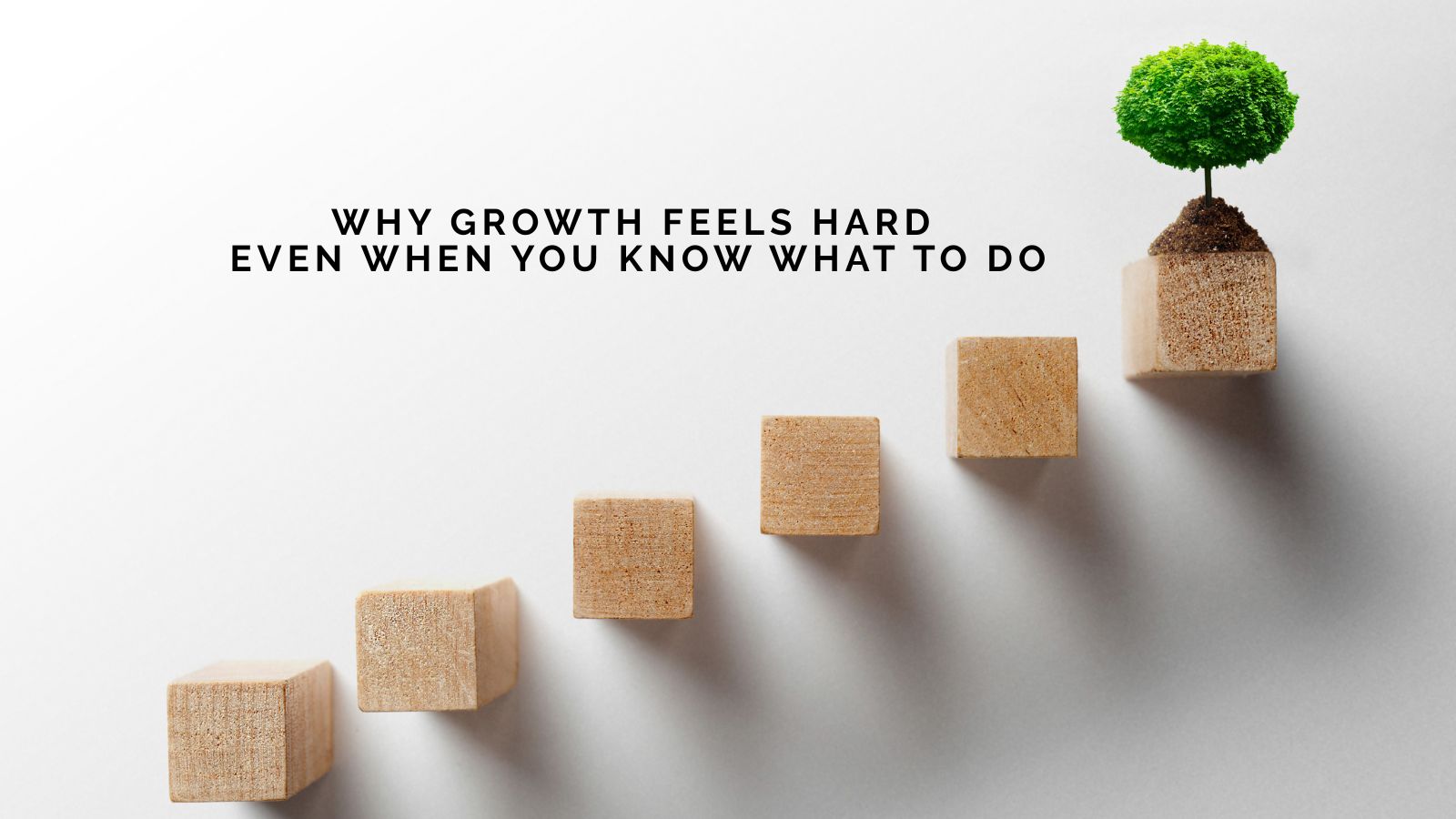 Sofia Pedroso On Why Growth Feels Hard Even When You Know What to Do