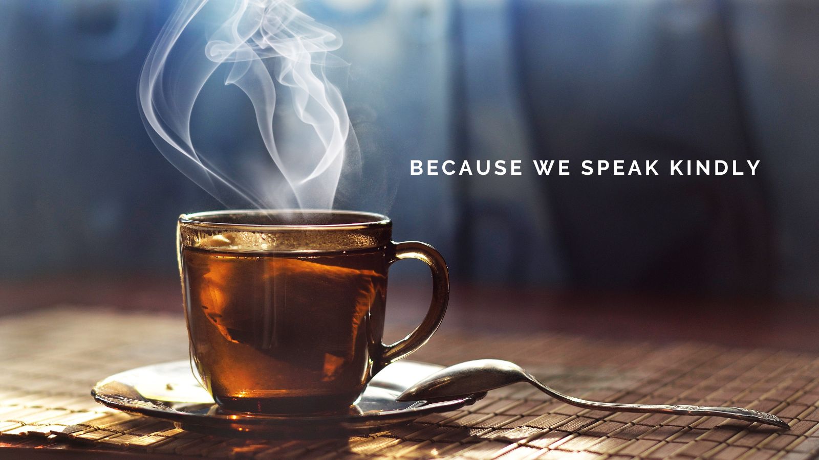 "Because We Speak Kindly" by Julie Hayes