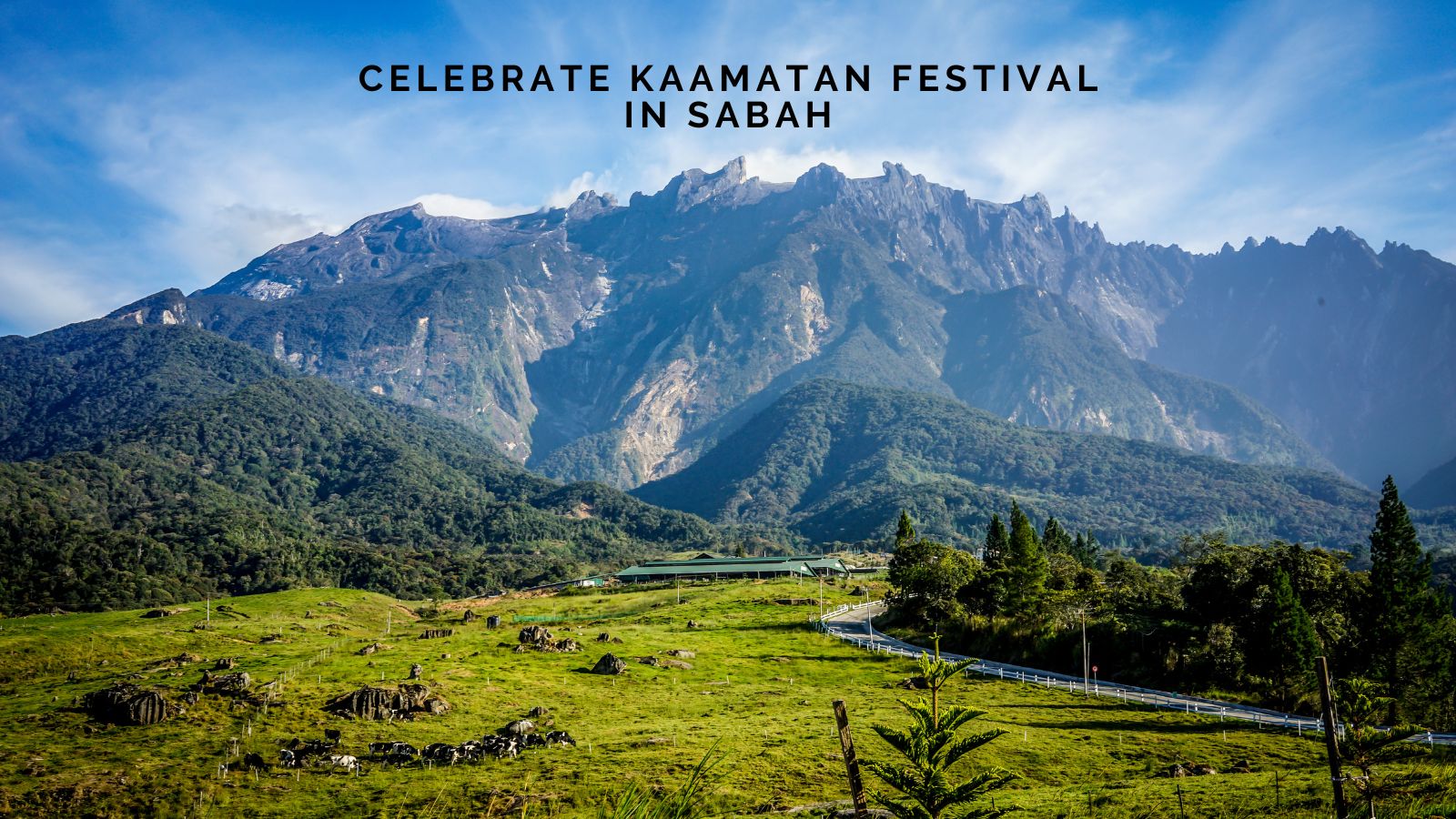 Celebrate Kaamatan Festival in Sabah: A Local Experience You’ll Never Forget