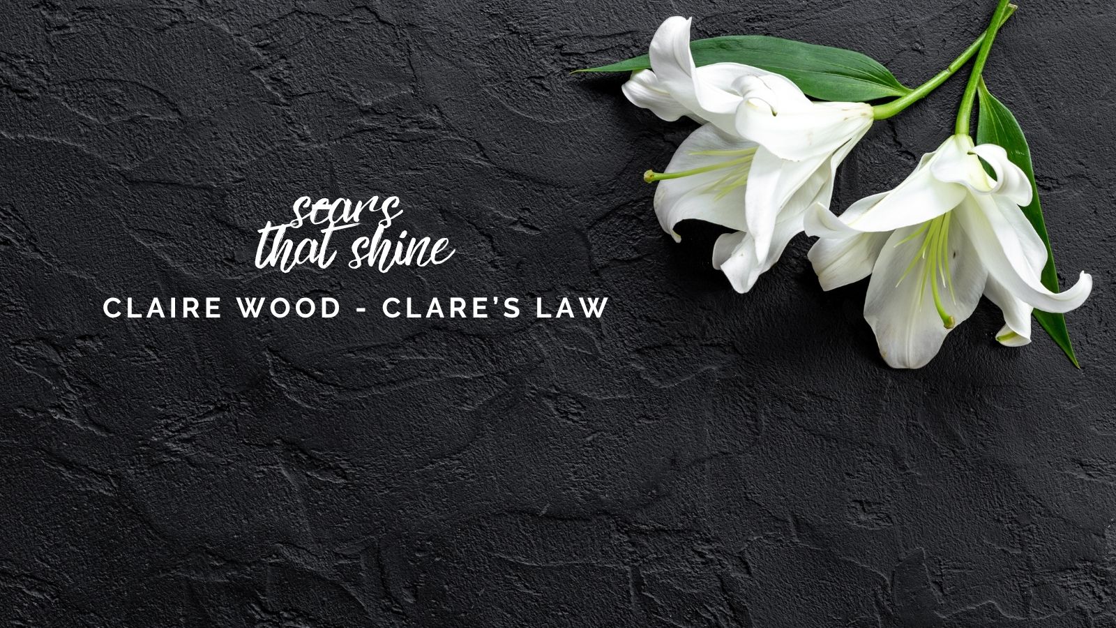 Scars that Shine: Clare’s Law Explained, How One Woman’s Story Is Protecting Thousands