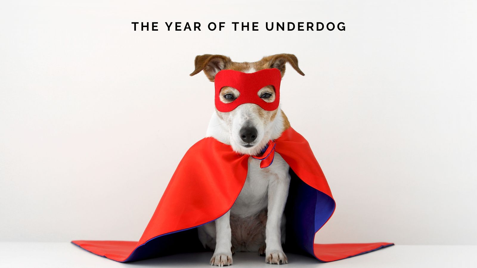 Editorial Update: The Year of the Underdog