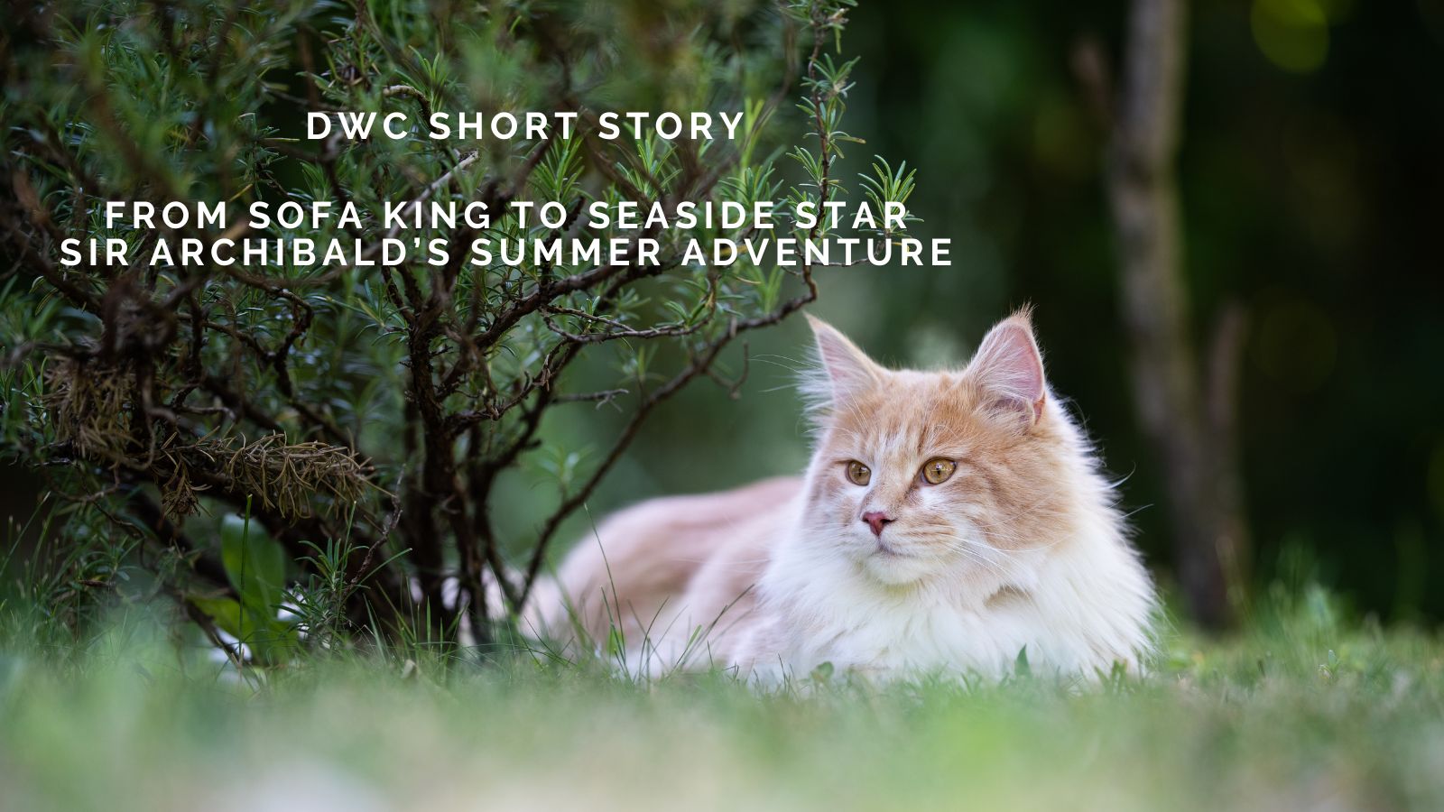 DWC Short Story: From Sofa King to Seaside Star, Sir Archibald’s Summer Adventure