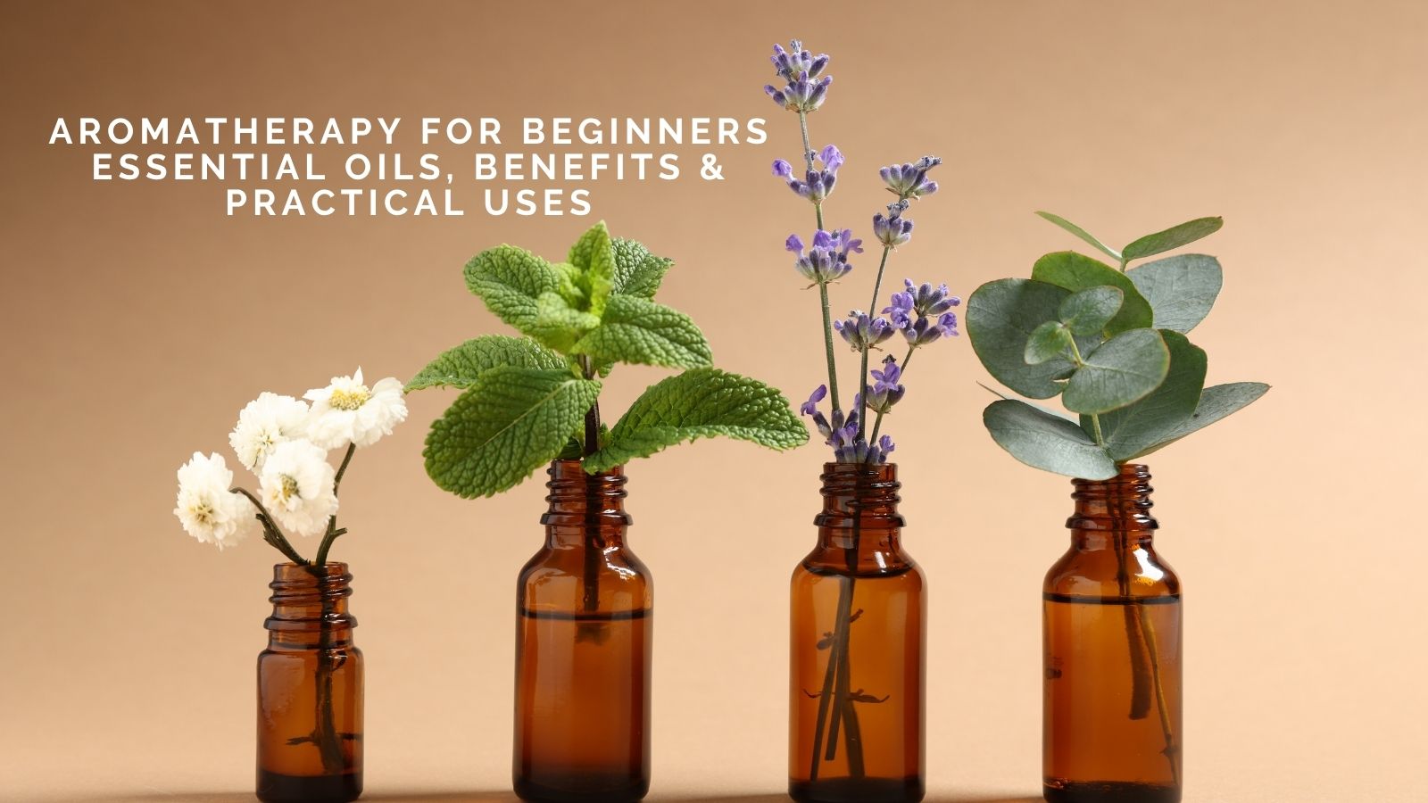 Kathryn Toomey On Aromatherapy for Beginners: Essential Oils, Benefits and Practical Uses