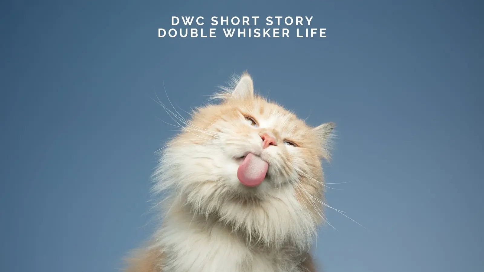 DWC Short Story: Double Whisker Life, As Told by Sir Archibald Fluffington III