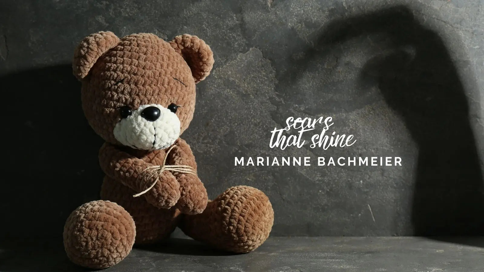 Scars that Shine: Anna Bachmeier - A Mother's Pain, A Nation’s Debate