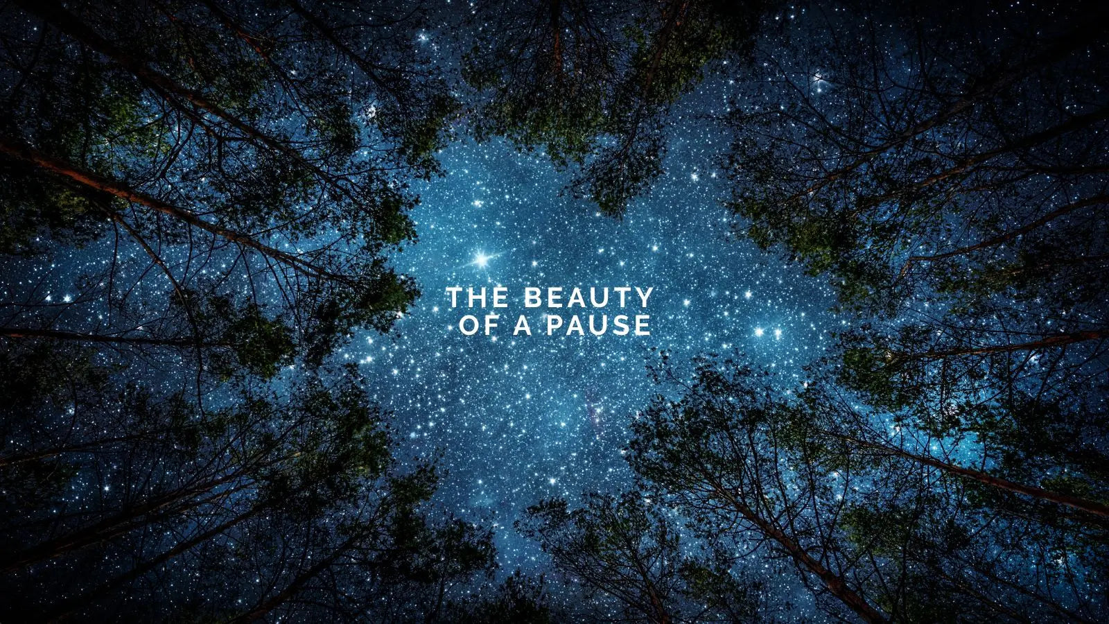 The Beauty of a Pause