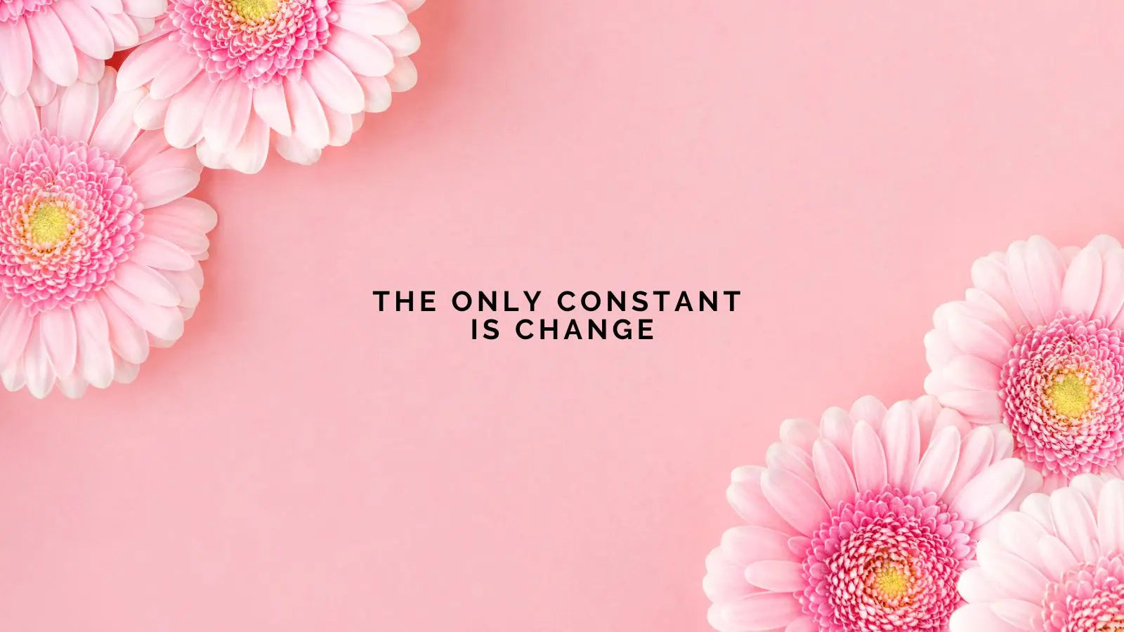 Editorial Update: The Only Constant is Change—And That’s a Beautiful Thing