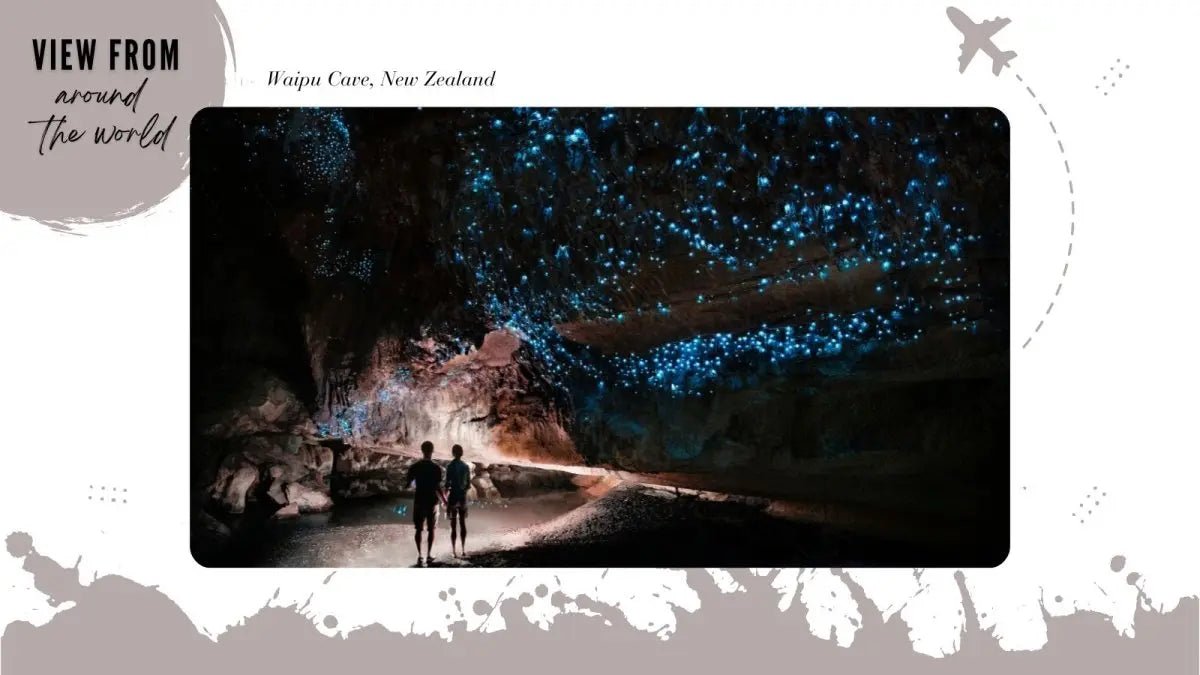 View from Around the World: Waipu Caves Scenic Reserve, New Zealand